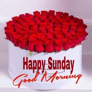 Meet your Posher, Mimi